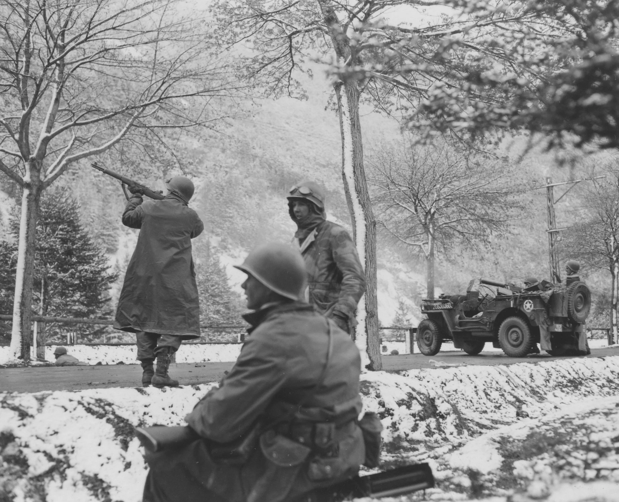 The War: Units of the Division — 103rd Infantry (Cactus) Division